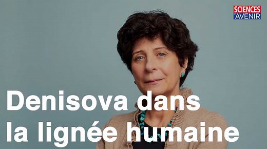 La place de l'ancêtre Denisova dans la lignée humaine