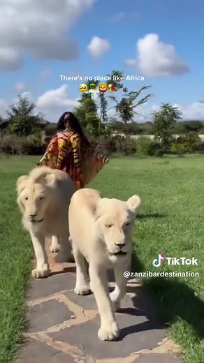 Explore Tanzania: A Safari Adventure of a Lifetime!