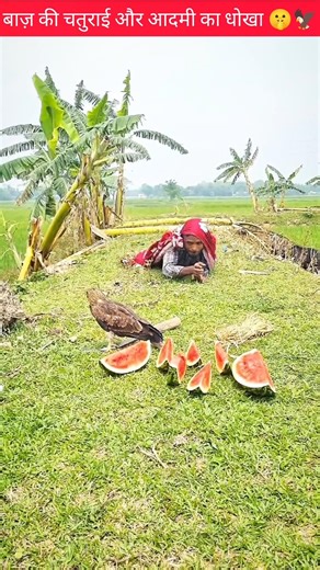 बाज़ की चतुराई और आदमी का धोखा 🦅😇💖mini wood toy-wood working art skill wood/hand crafts#shorts