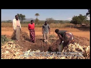 Producing Compost Manure Using Pit Method