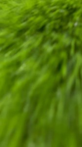 14K views · 128 reactions | Best Trading Classes in Indore #optionguruindia #viralvideo #trading #scalping #StockMarket | Option Guru Stock Market | Facebook