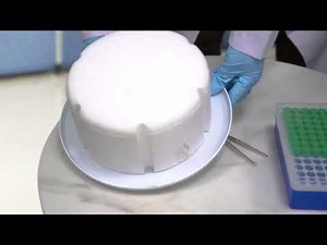 Liquid nitrogen tank for cell storage Biological sample cryopreservation