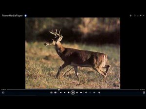 Native Americans of Texas: Farmers