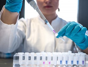 Royal Society Research Culture Award | Royal Society