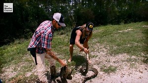 10K views · 59 reactions | Sharks and snakes and pythons, Oh My! Yes, it's Creature Week! Learn unique facts and find out where these creatures are lurking across America! | The Weather Channel | Facebook