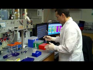 how to do a pcr reaction with DMSO using a master mix