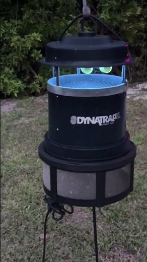 DynaTrap DT2000XL Extra-Large Insect Trap Review