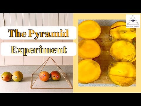 Preserving Mangoes With A Pyramid | 12 Day Pyramid Experiment | PYRADYNE®