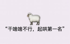 【羊仔】劳模羊在线汇报工作