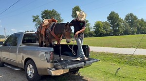 3.4K reactions · 152 shares | HE SOLD FOLKS , THANKS , LITTLE ROSCOE!!! Hunting , trail , kids and older folks mule DELUXE !! Watch him hop in this truck !! Been there and done that kind of mule!! Don’t miss him ! 11 years old and 13.2 hands tall | Max Bishop | Facebook