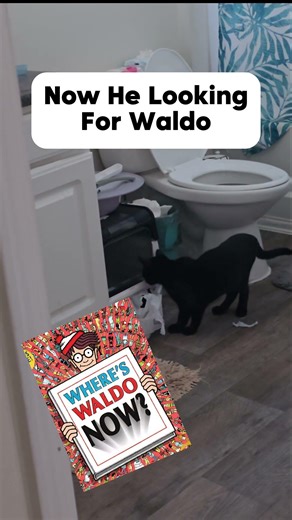 Black Cat Mom Problems: Potty Training Edition Part 3 🚽🐈‍⬛
