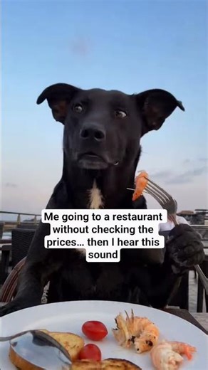 Check the prices before ordering anything 💀