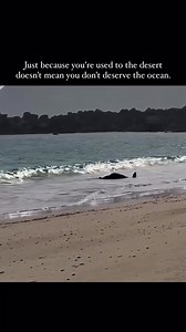 1.3M views · 23K reactions | Vibes on Reels | Facebook