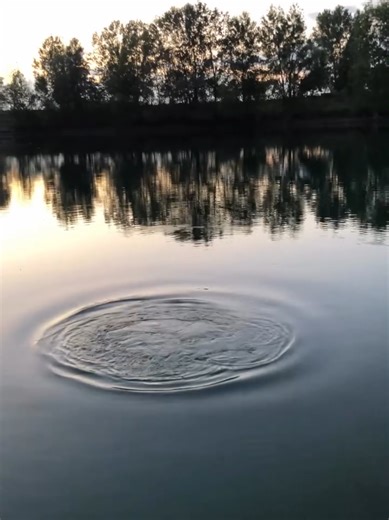 Exploring the Joys of Carp Fishing