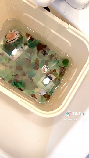 シーグラスの洗浄方法と除菌手順 | 作業動画