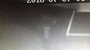 3.7K views · 18 shares | The Lee County Sheriff's Office is asking...