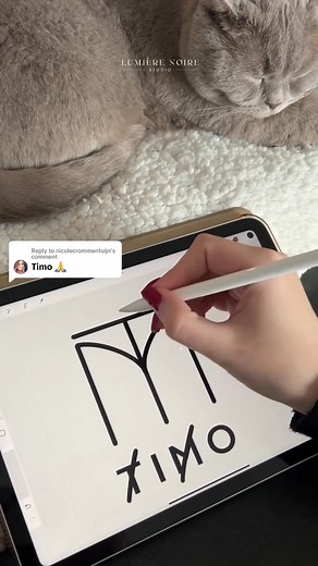 Timo - App: Procreate #procreate #logodesign #monogram #namelogochallenge #lineart | Lumière Noire Studio