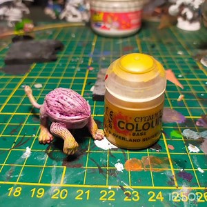 How to make an intellect devourer for d&d with a little nut.