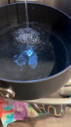 What is a Simmer Pot you ask? Our Holiday Simmer Jar consists of dried oranges, lemons, cranberries & apples. Joined by anise star, cloves, full cinnamon sticks and fresh pine for a pop of color. All of the fruit starts off organic & fresh, sliced into thin pieces and dehydrated in the oven for what seems like days 😁 Simply add the contents of the jar into a boiling pot of water on top of the stove. Lower the temp to a simmer and let the fruits and aromatics work their magic. As the water evapo