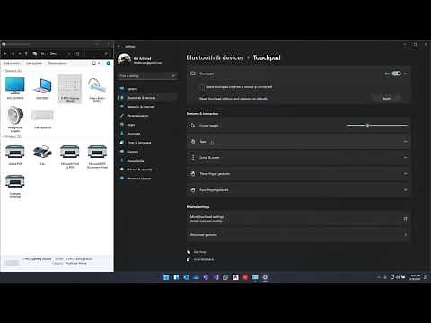 Disable HP Laptop Touchpad on Windows 11