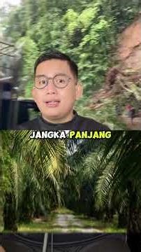 Tree roots hold up large rocks, proof that forests prevent disasters and protect real people