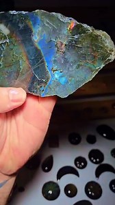 52K views · 3.3K reactions | LABRADORESCENCE EXPLAINED  | Saltshack | Facebook