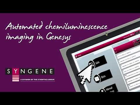 G:Box Chemi XRQ Tutorial