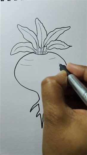 Easy Turnip Drawing Step by Step for beginners 🌱 #shorts #easydrawing