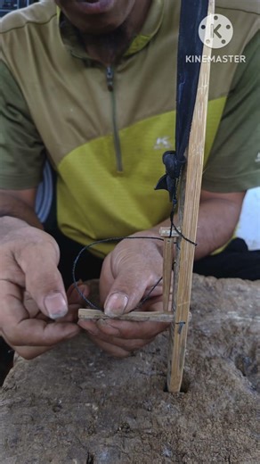 Mousetrap #diy #bamboo #experiment