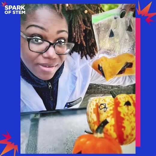 💥🎃 EXPLODING PUMPKINS 🎃💥 Here’s a fun, super easy STEM activity you can do at home! This activity takes an acid (vinegar) and base (baking soda) and creates carbon dioxide inside a bag. The pressure built by the carbon dioxide makes our sandwich bag pumpkins EXPLODE! 💥 🥽 be sure to be at a safe distance when the pumpkin explodes, and to have on safety glasses to prevent any of the acidic vinegar from going into your eyes. Credit: @classychemist Look out for our weekly posts with videos, ph