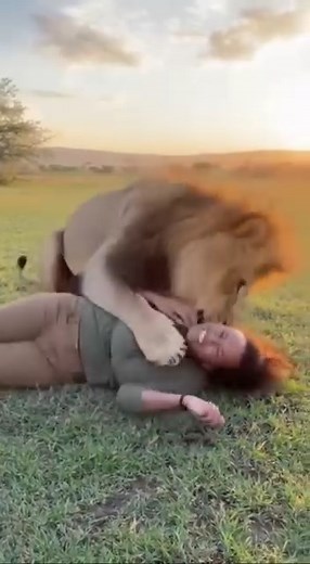 1K views · 12 reactions | Prepare to be amazed! Forget everything you...