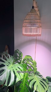 3K views · 539 reactions | comment “light” and I will send you this light and sconce combo, it is my FAVORITE I’ve had this monstera in my dark dining room for over a year only supplied by this grow light. As you can tell from the maturing fenestrations in the leaves, she is HAPPY!! As always I use my light meter to check lighting in any spot I put my plants  | Earth Wind and Plants | Facebook