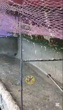 housing design for rtl / iwas langaw at maamoy na poultry / mabilis linisan