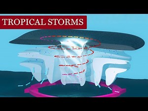 Formation of Tropical Storms Explained | Hurricanes, Cyclones & Typhoons | GCSE Geography | HRB Ed