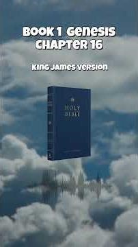 Bible Book 1 Genesis Chapter 16 King James Version #kjv #bible #biblestudy #cat