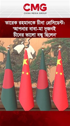 তারেক রহমানকে চীনা প্রেসিডেন্ট: 'আপনার বাবা-মা দুজনই চীনের ভালো বন্ধু ছিলেন'