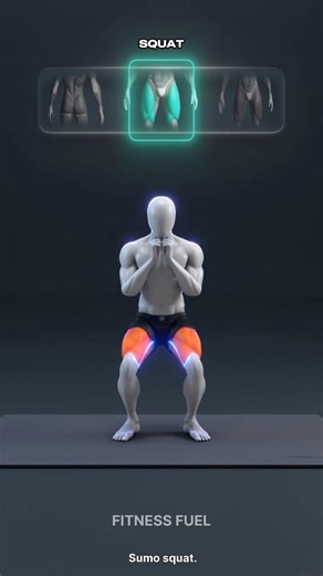 1.9K views · 80 reactions | ✅RDL vs Squat vs Sumo - Know the Difference | Fitness fuel | Facebook