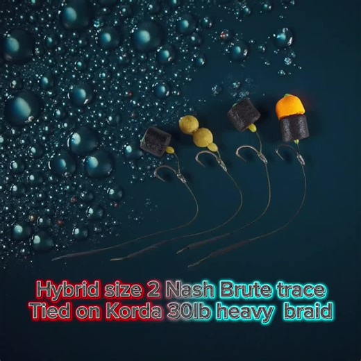 New Hybrid Trace for Carp Fishing Enthusiasts