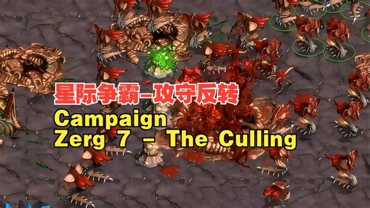 星际争霸 Reversed Campaign Zerg 7 - The Culling