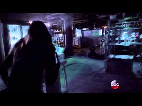 Skye Epic Fight Scene - Agents of S.H.I.E.L.D [Season 2]