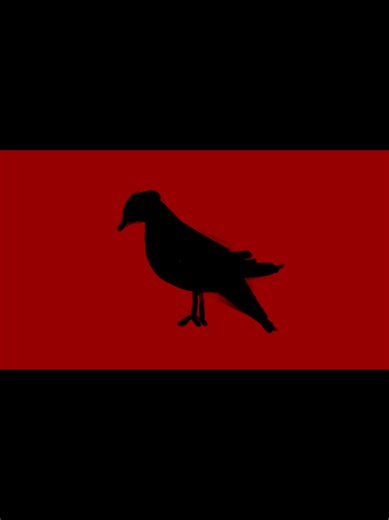 наснимала пташек. #птицы #кино #фильм #aesthetic #эстетика | birds