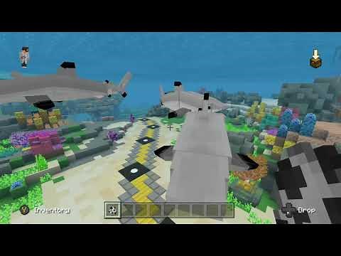 Shark Biology addon review