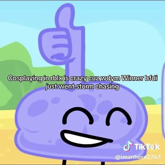 Storm Chasing in BFDI: A Roblox Adventure