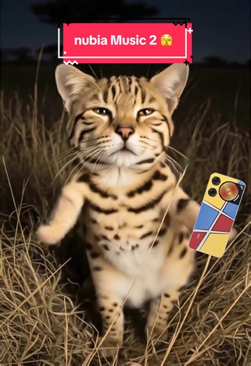 Descubre el Flow de Nubia Music 2