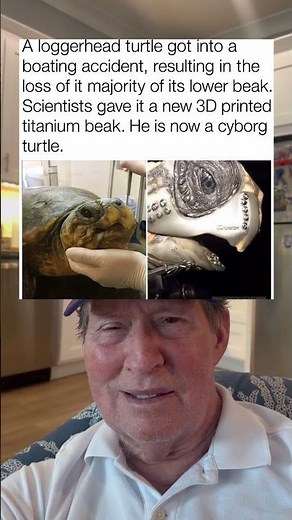 Loggerhead Turtle Gets 3D Printed Titanium Beak After Losing Original in Boating Accident.