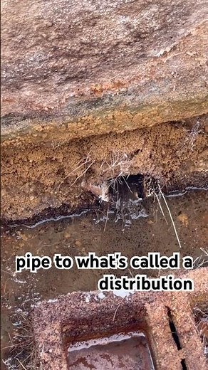 How Water Moves Through Septic