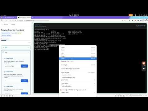 Linux Haystack Nginx Challenge - Step by Step