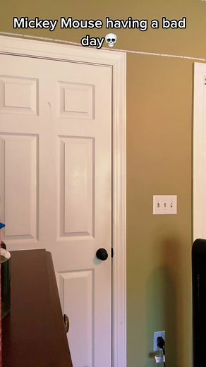 Funny Donald Duck Moment