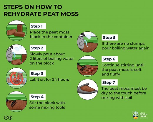 How To Rehydrate Peat Moss? [2 Ways] | Your Indoor Herbs and Garden