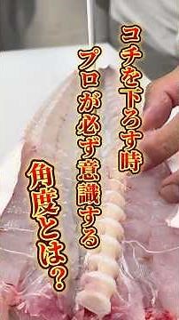 【衝撃】普通と違う！コチの下ろし方｜プロ技で身を残さない方法伝授します#コチ#魚の捌き方 #三枚おろし #板前